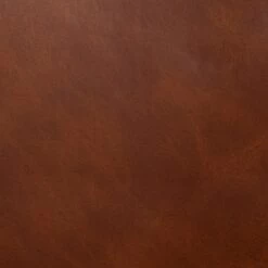 Discount - Habitat Beni Pair Of Faux Leather Dining Chairs Tan Furniture -Dining Sales Shop unnamed file 1288